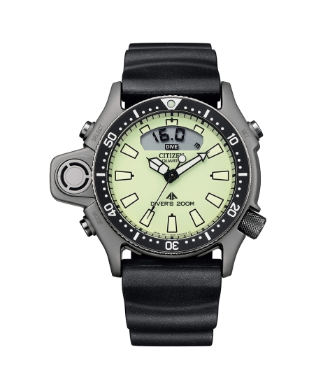 Citizen | Promaster Aqualand Diver's Professional - JP2007-17W