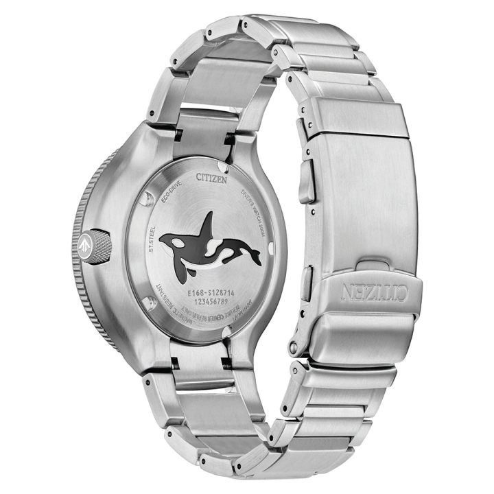 Citizen | Diver's Eco Drive 200 mt "Orca"