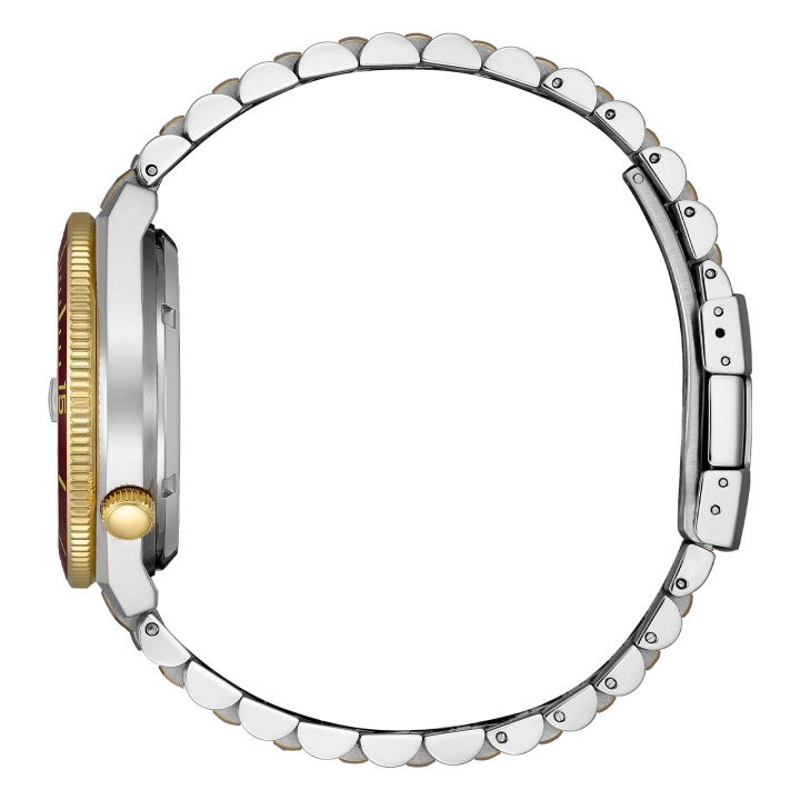 Citizen Tsuyosa Shore NJ0234-58X | two-tone automatic